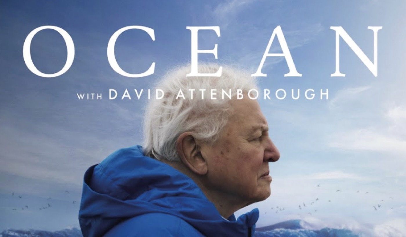 David Attenborough at 100: What He Did for the Ocean