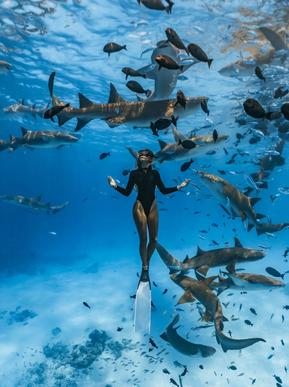 apneísta rodeada de tiburones nodriza en el océano