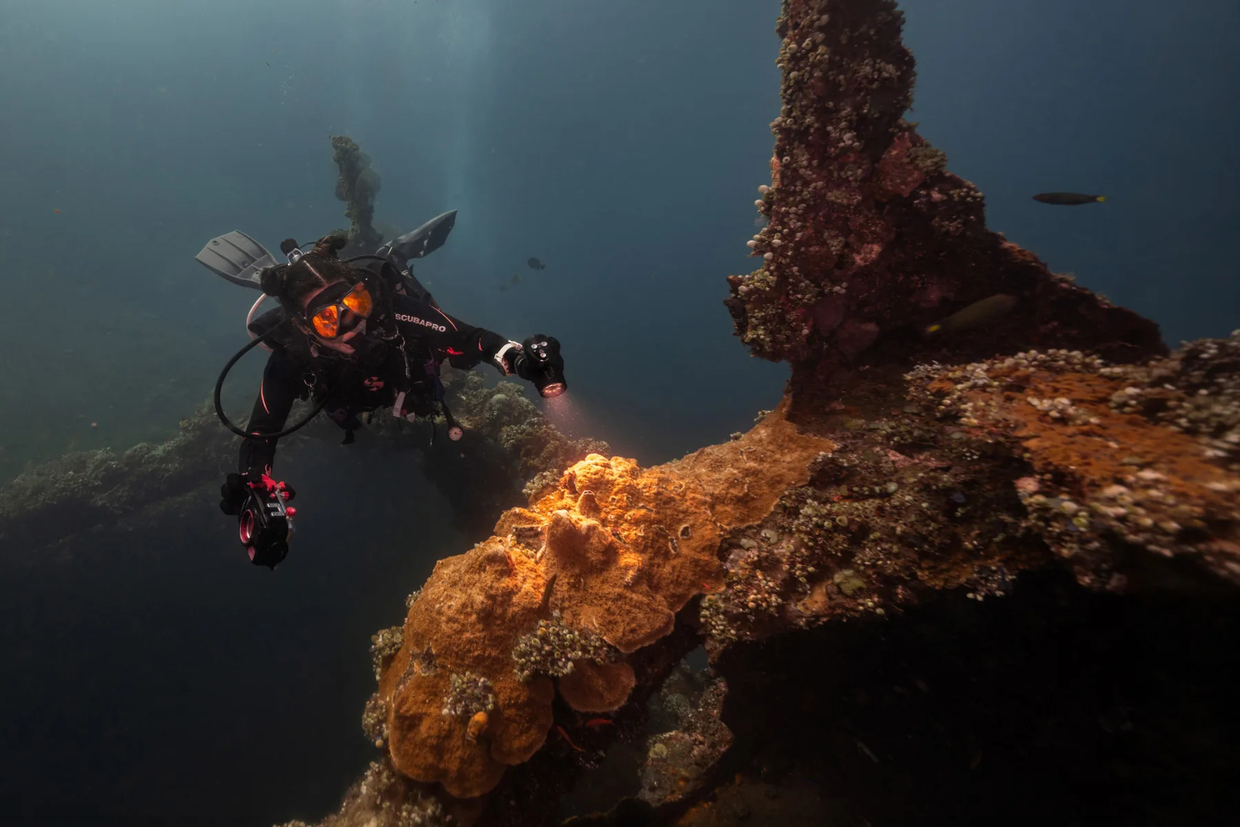 Caro Santamaria scuba diving over a coral-covered wreck in Scubapro gear with a dive light