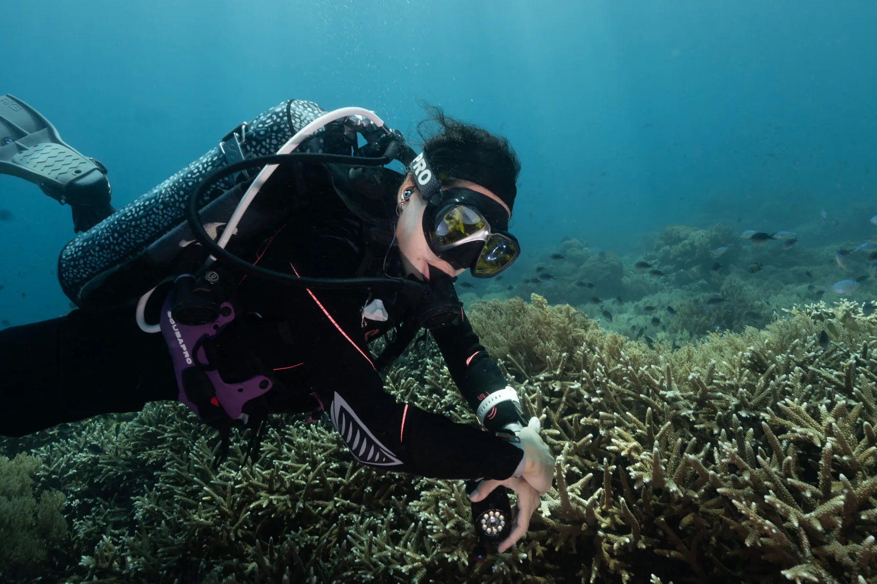 buceadora flotando sobre coral duro