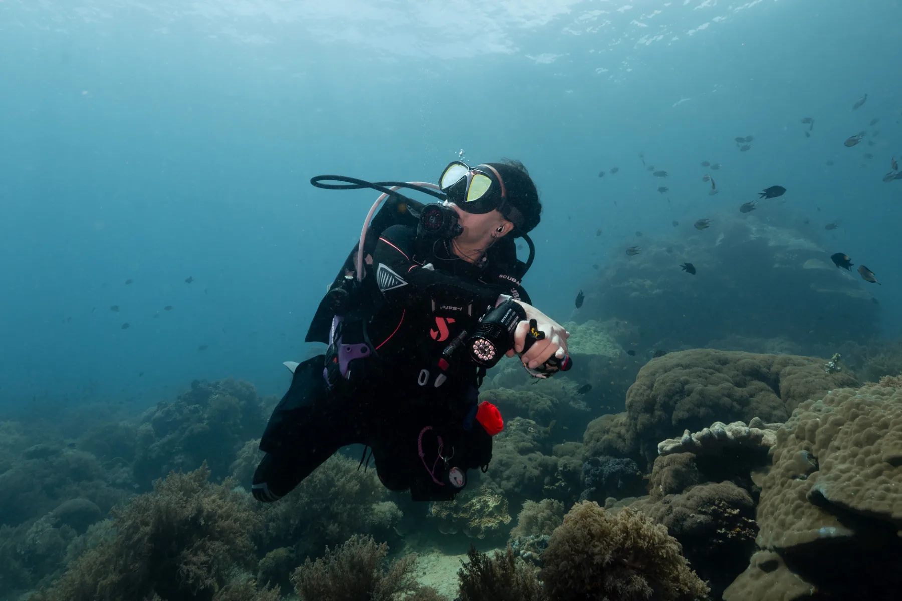 female scuba diver underwater diving verde island philippines