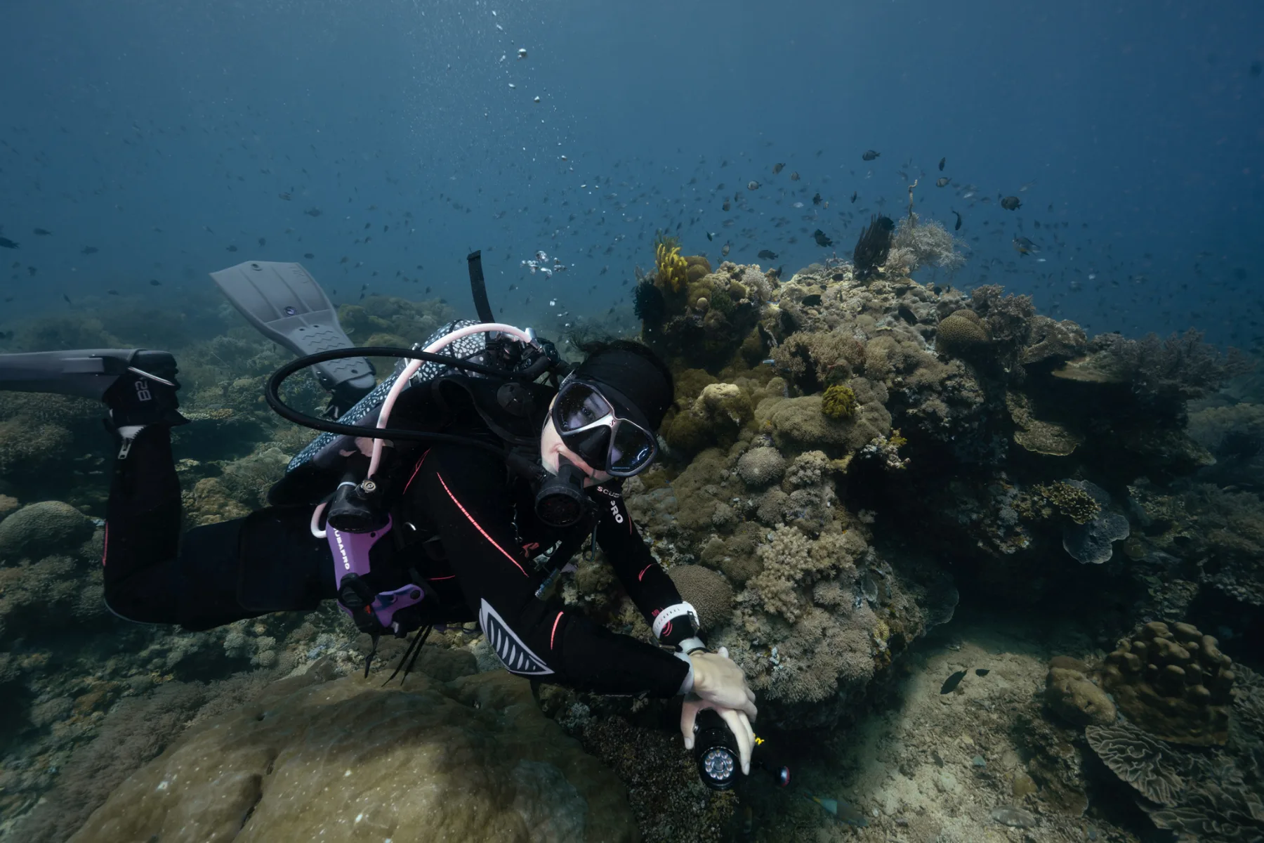 caro santamaria ocean scuba diving in a coral reef
