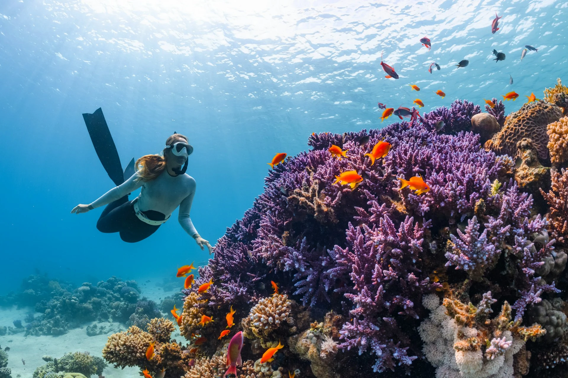 Apneísta descendiendo por aguas azules cristalinas sobre un arrecife tropical en el Triángulo de Coral