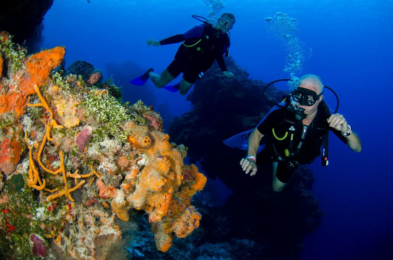 two scuba divers exploring a coral reef wall during a Discover Scuba dive