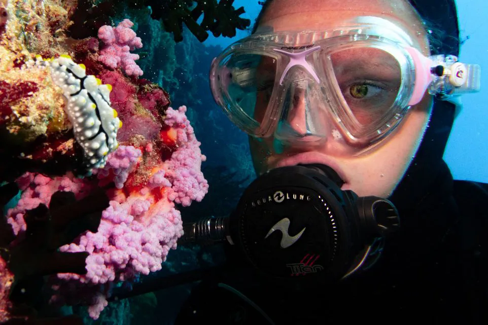 diver using aqualung titan regulator underwater
