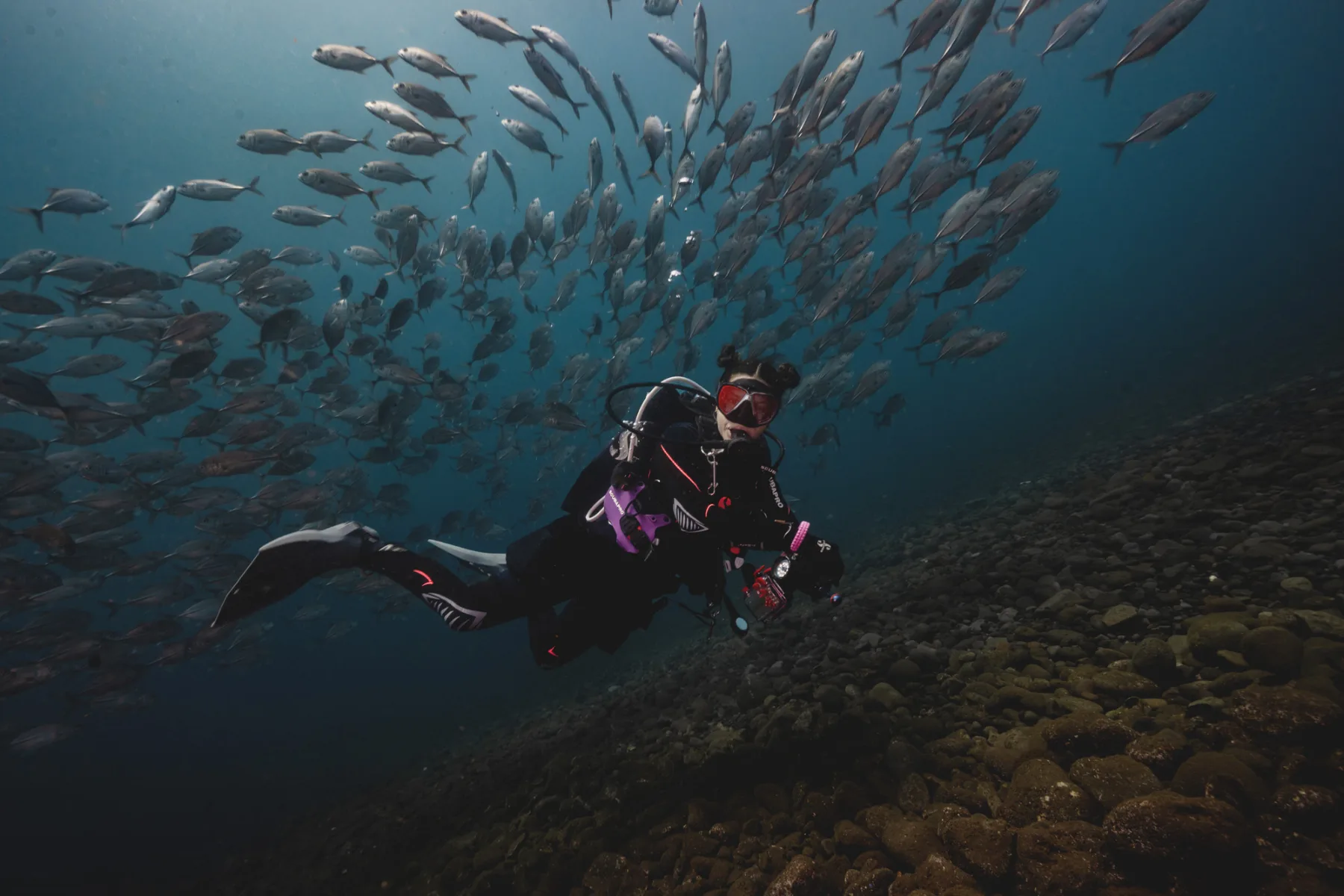 professional scuba diver underwater wearinf scuba gear surrounded by a school of fish