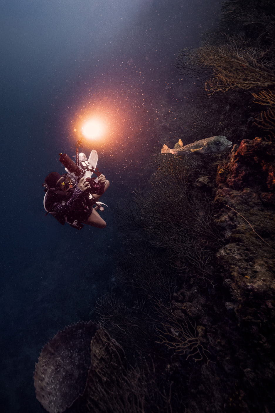 How to Choose a Dive Torch