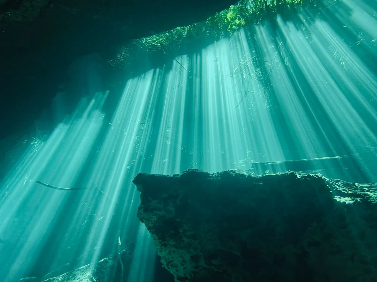 Sunlight beams cutting through the water in a Mexican cenote