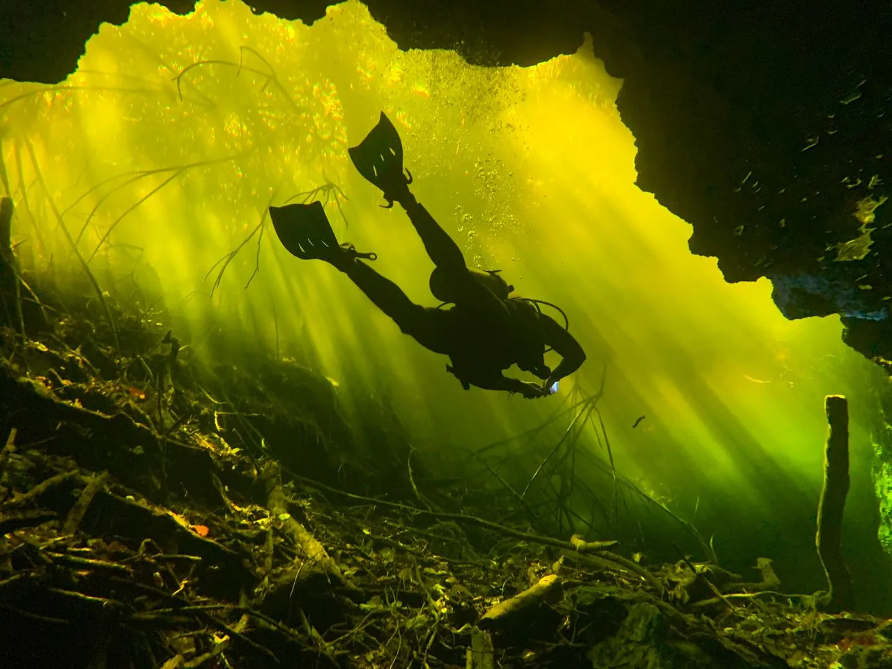A diver's silhouette swimming through sunbeams in a Mexican cenote cavern