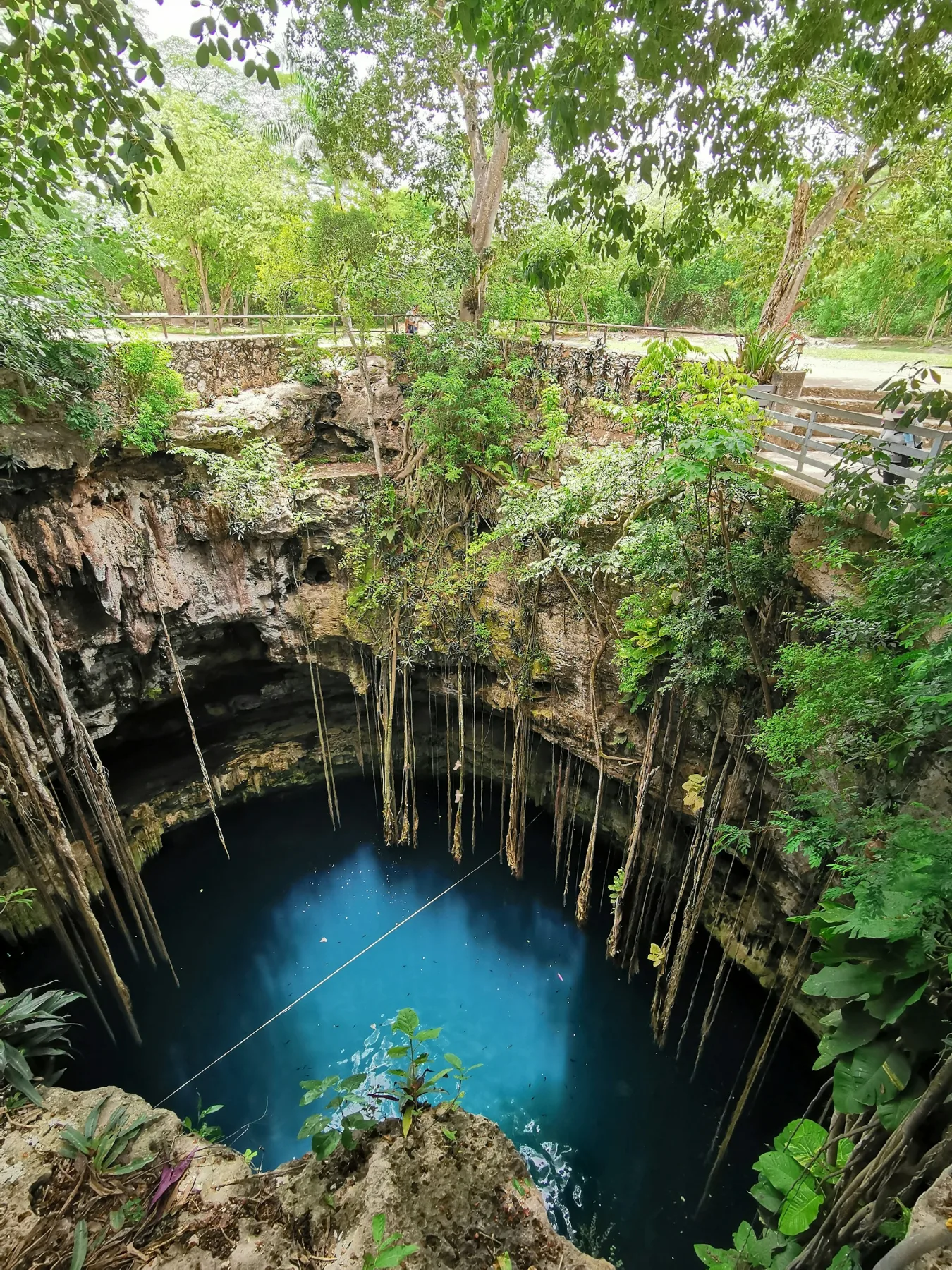 An open cenote in Mexico's Yucatán jungle, seen from above with roots hanging into the blue water