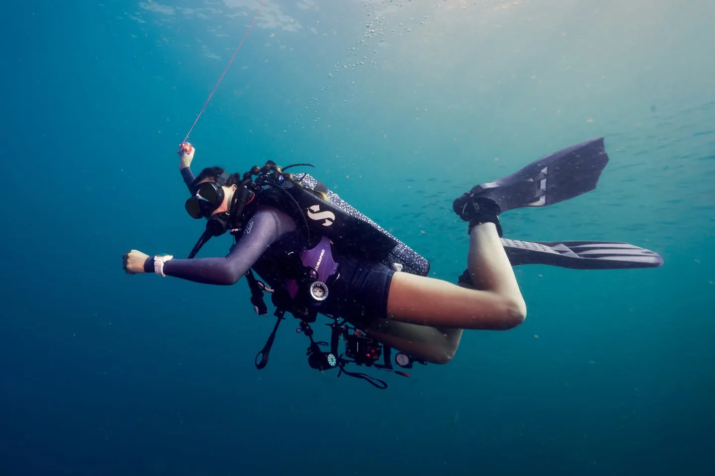 dive master sosteniendo un dsmb durante la parada de seguridad