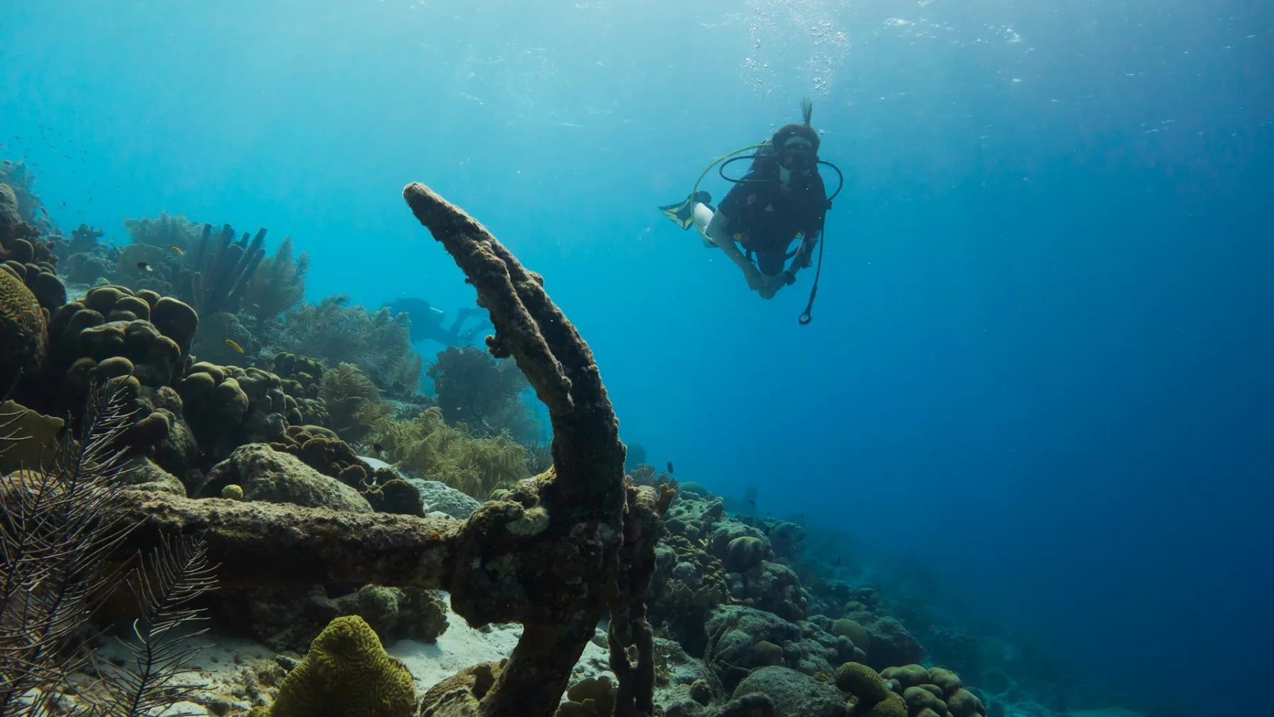 Un buzo nadando junto a un ancla vieja en un arrecife de coral del Caribe