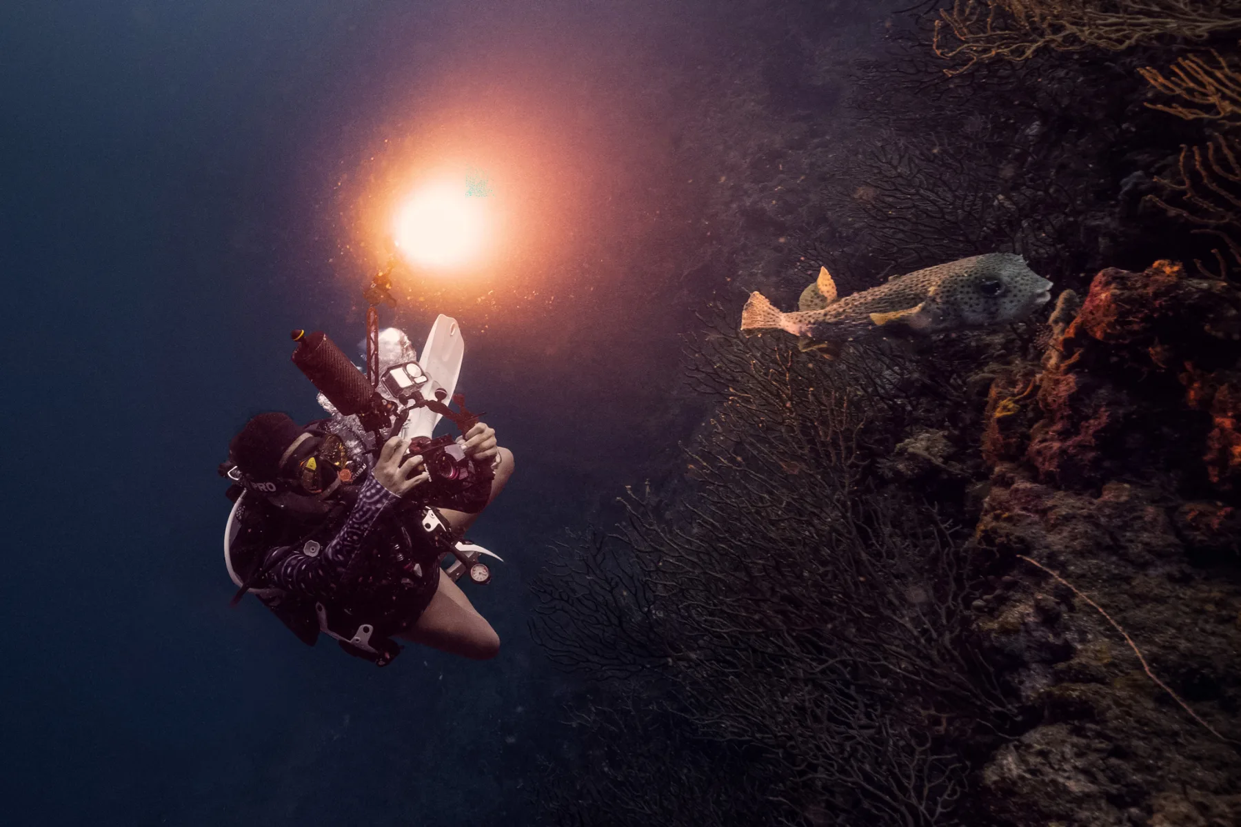 Caro Santamaria diving in Santa Marta, Colombia, with her Olympus TG6 camera setup and video light
