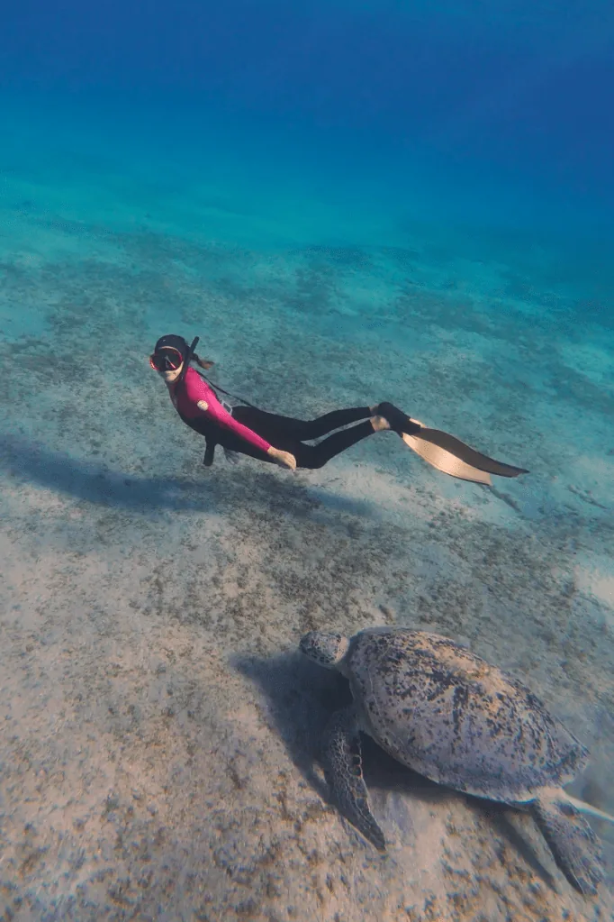 Freediving with a sea turtle