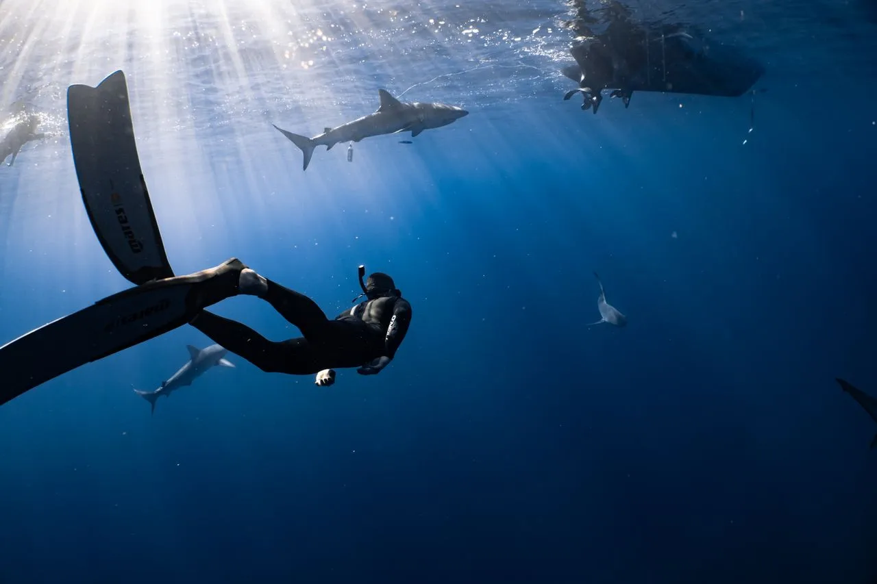 freediver in the ocean swimming with sharks near a speedboat