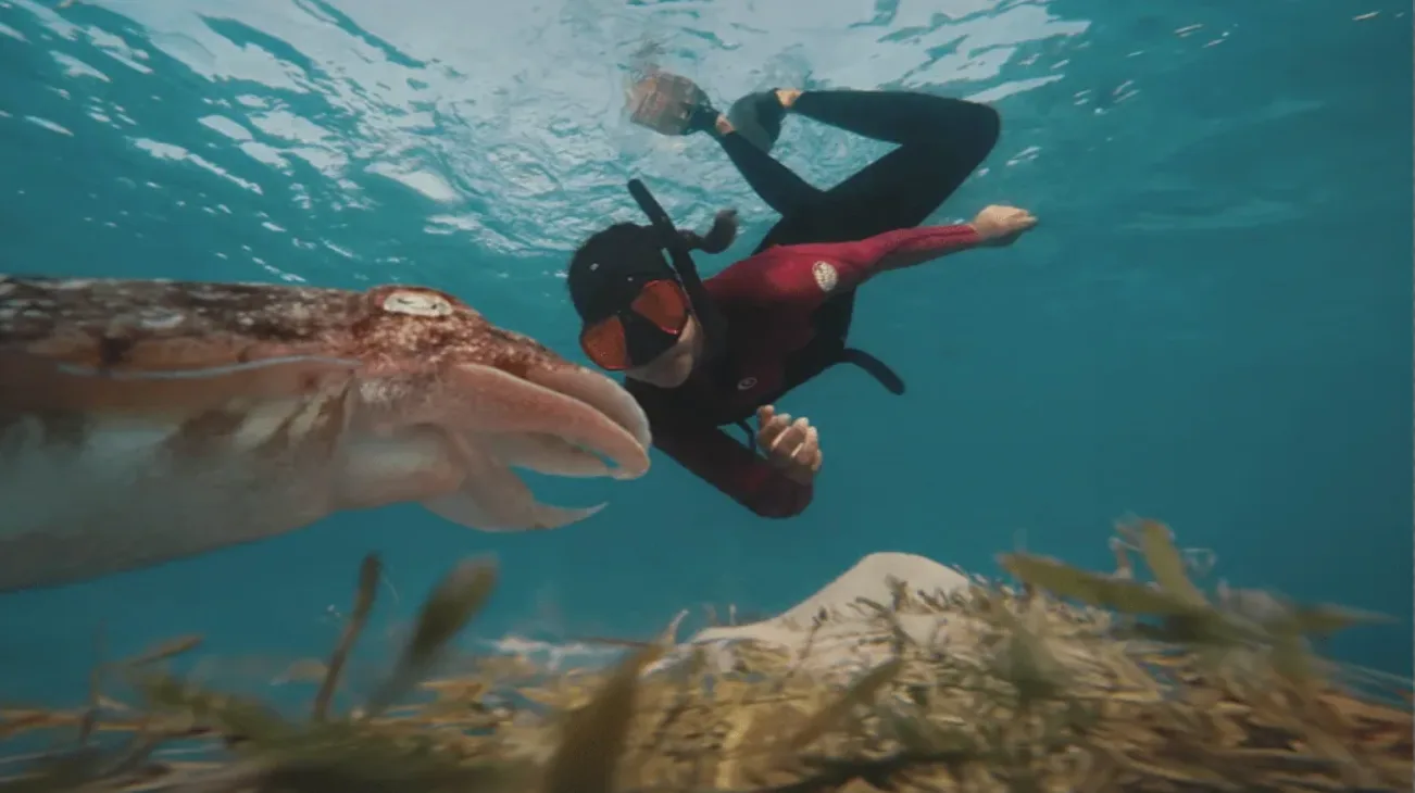 caro santamaria ocean freediving with a cuttlefish