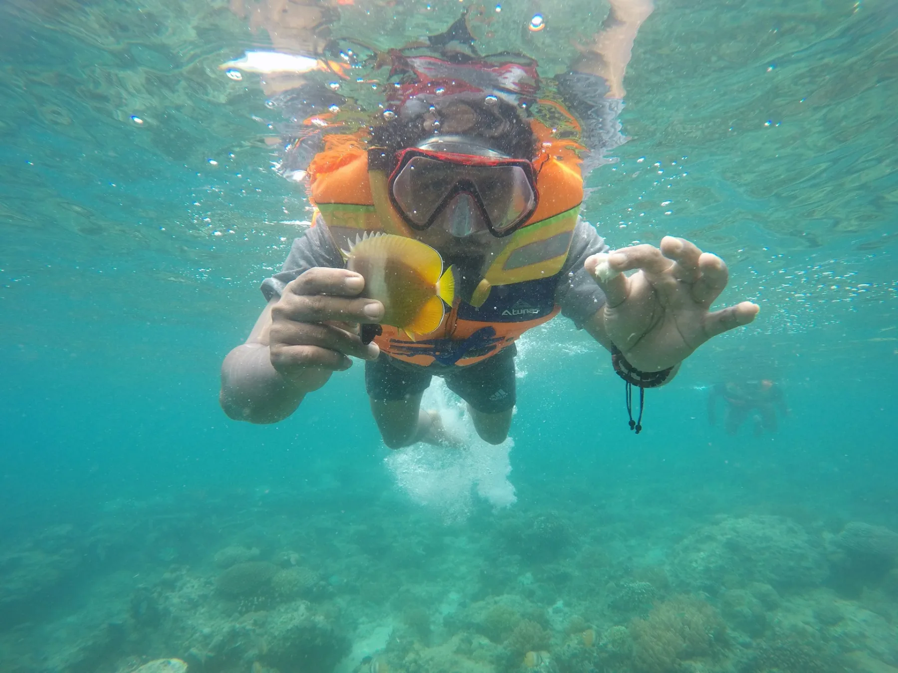 snorkeler grabbing a fish for a photo while feeding with bread, bad tourist behavior 