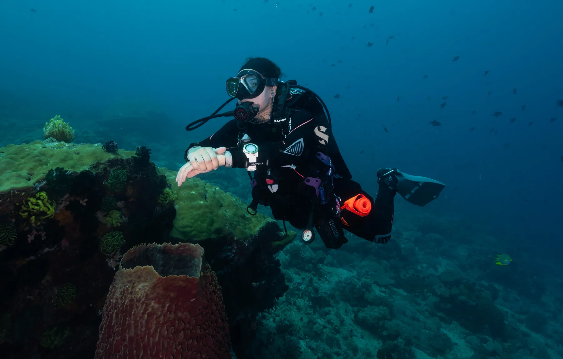 underwater shot of female scuba diver at the reef