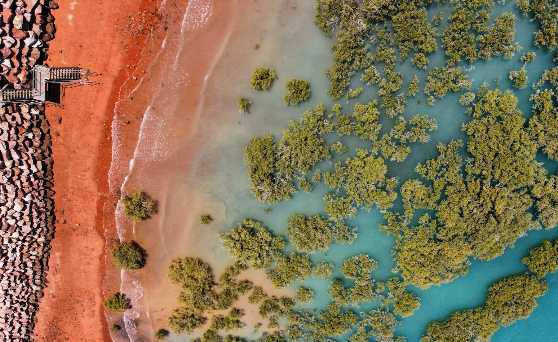 imagen aérea de un manglar y una playa anaranjada