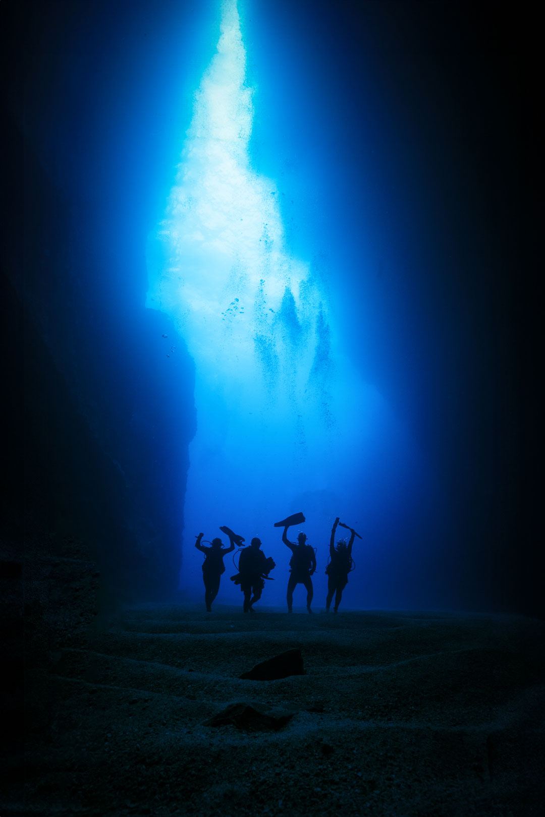 The Experience of Diving Malpelo with DivingLife