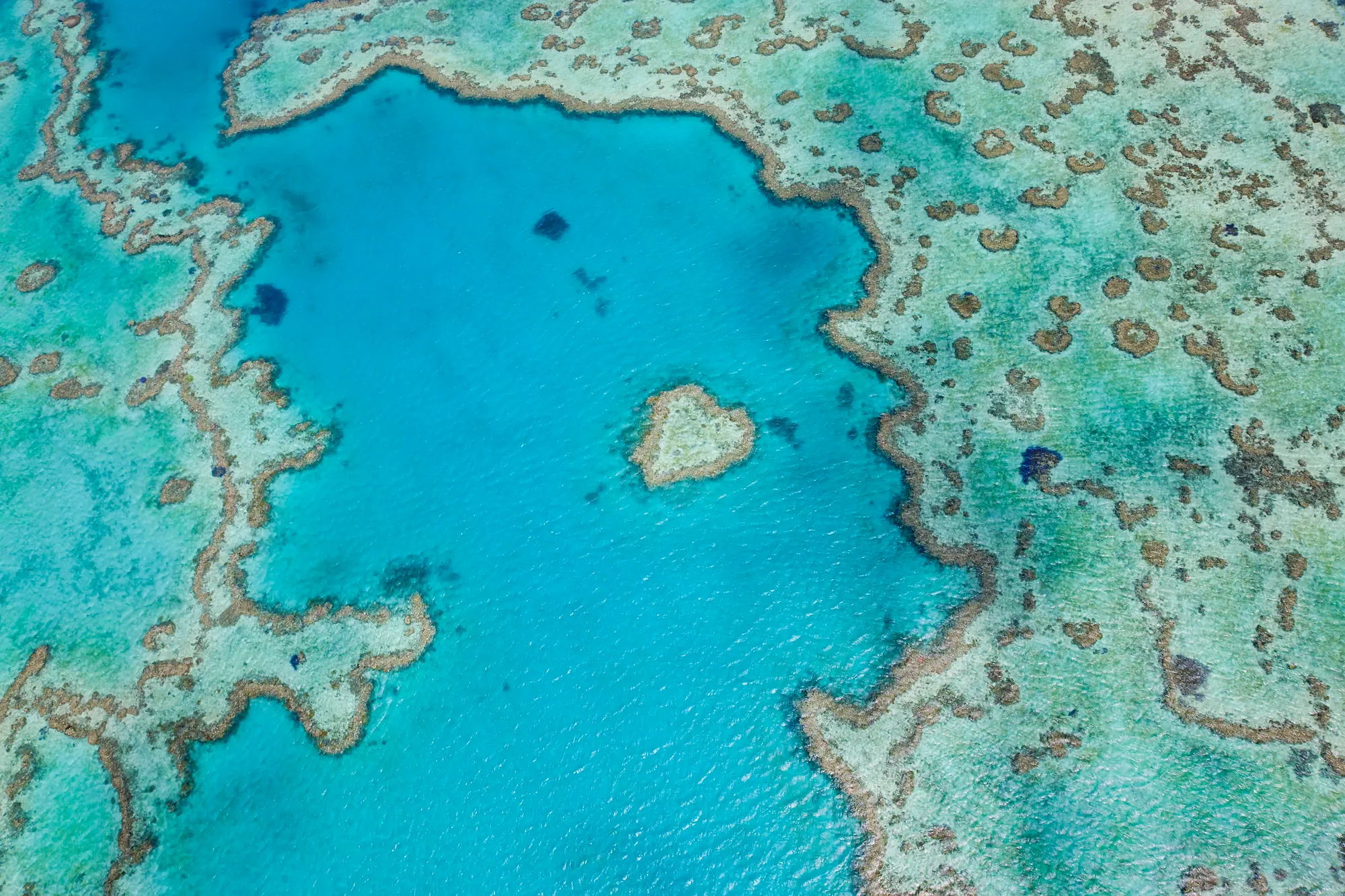 Papua New Guinea Is Protecting a Marine Highway the Size of the UK