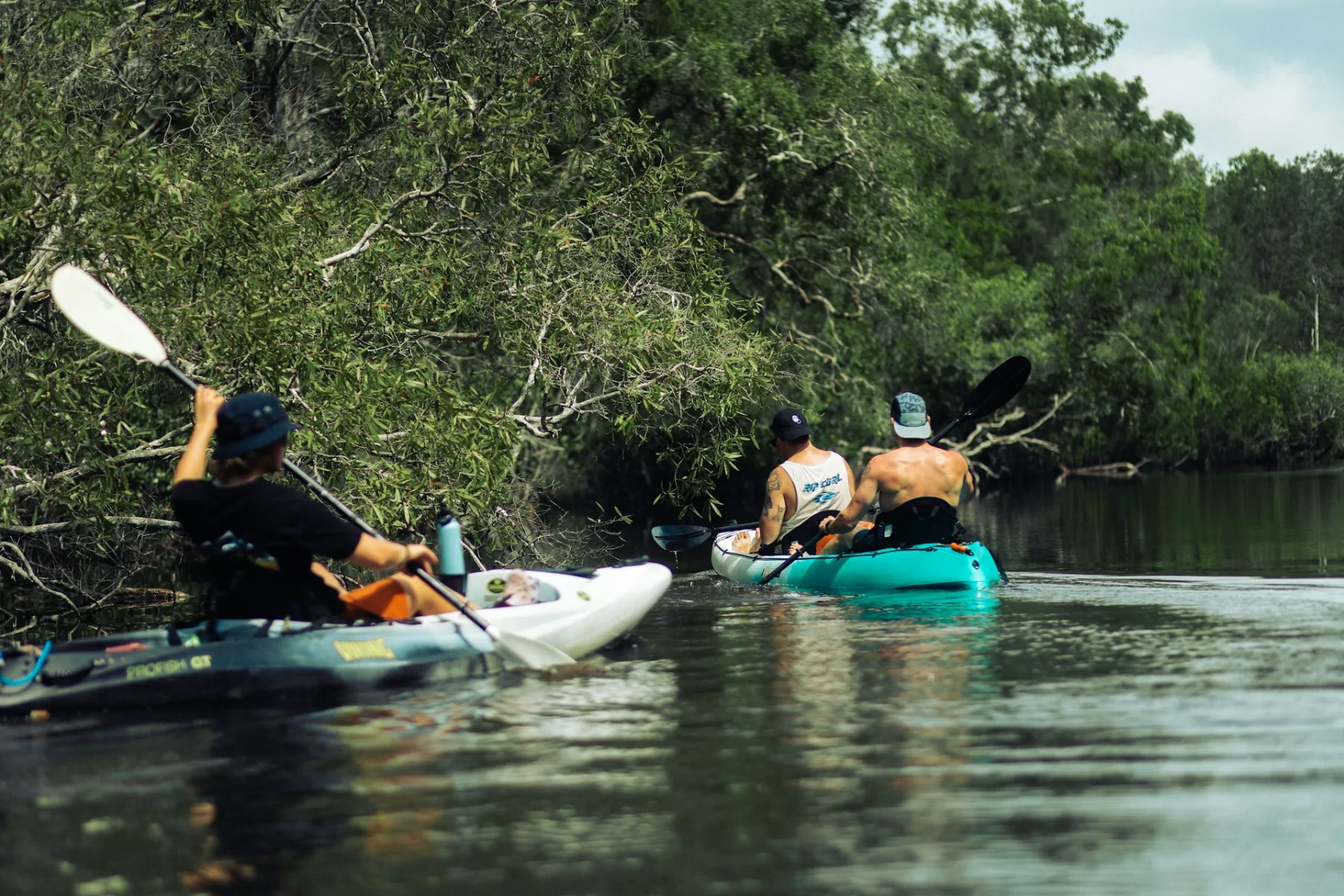 a-group-of-people-in-kayaks-paddling-down-a-mangrove