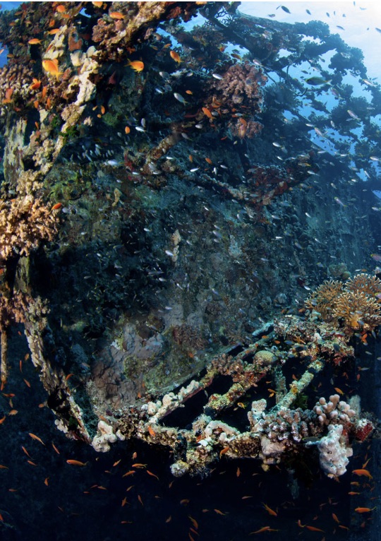 Diving the Salem Express