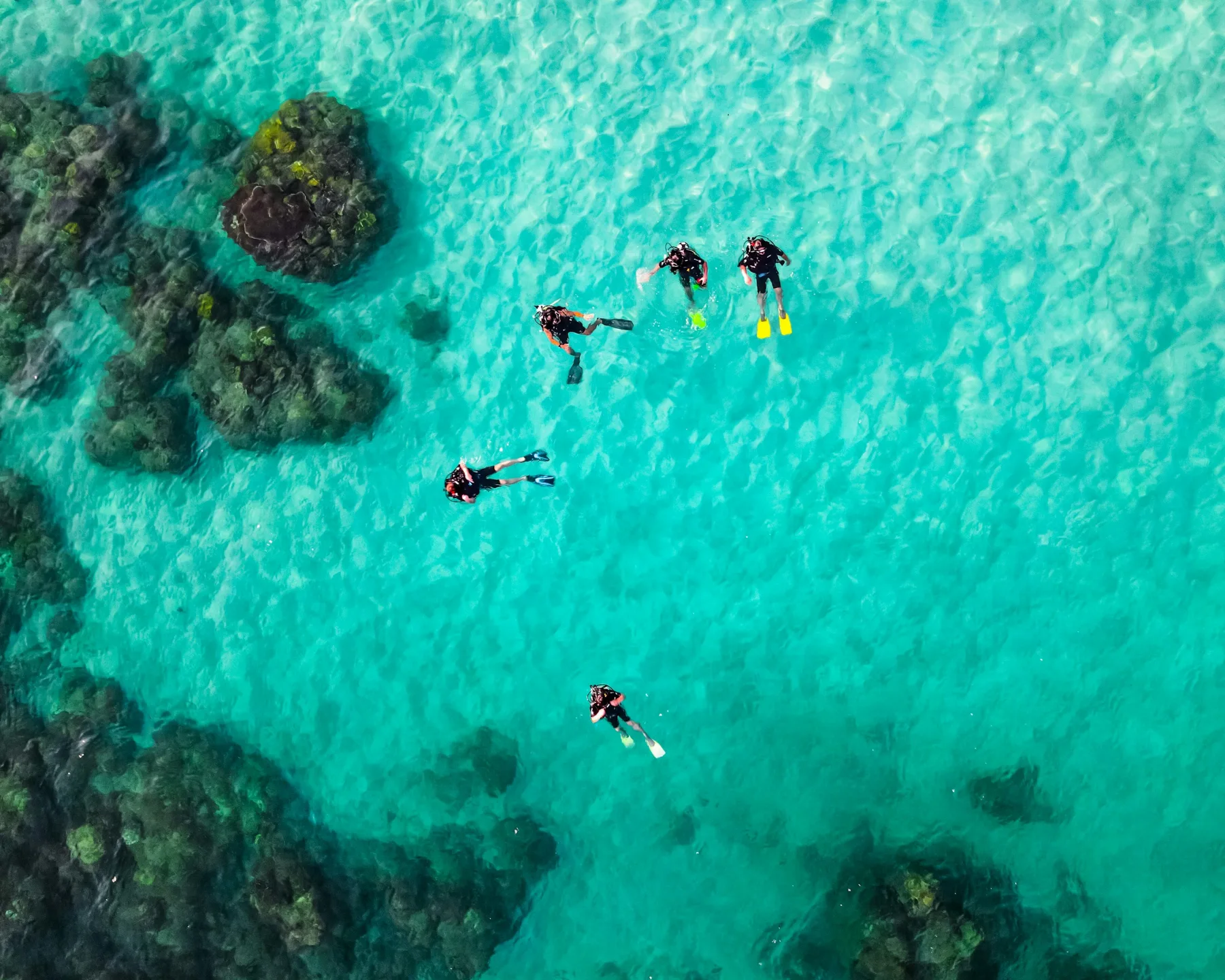 aerial shot of groups of scuba divers in the open water of a tropical coral reef