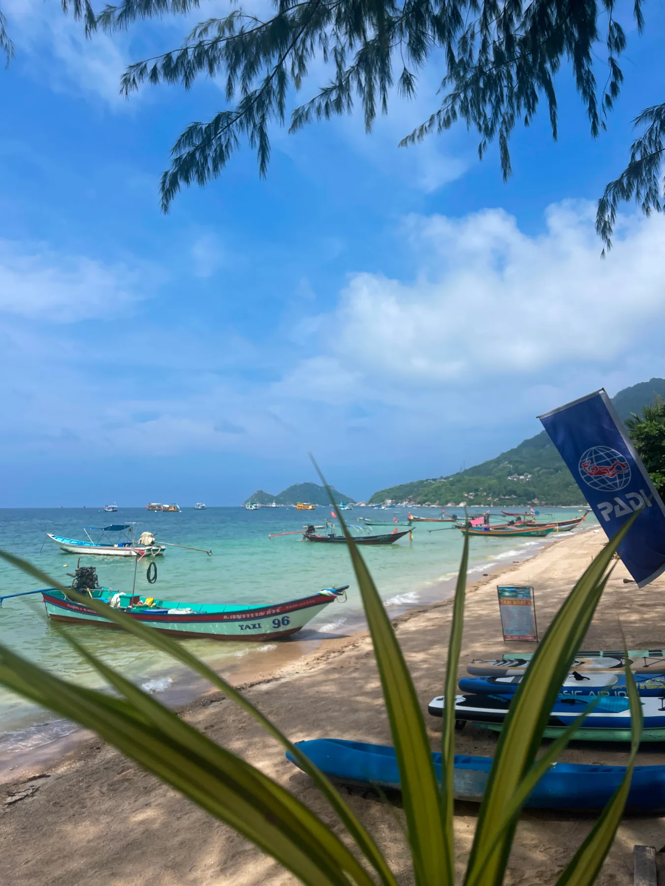 padi dive center beach front koh tao