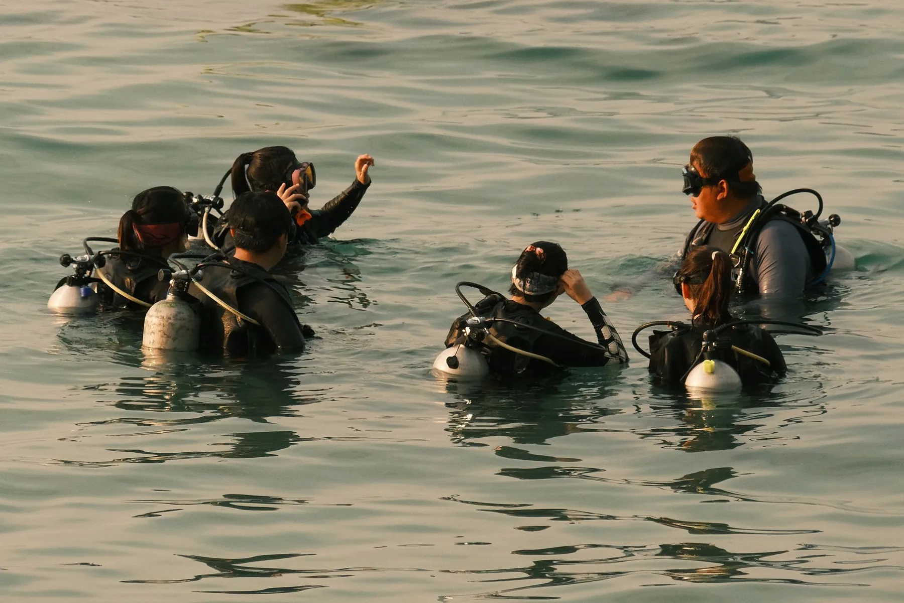 scuba divers in the ocean during open water course
