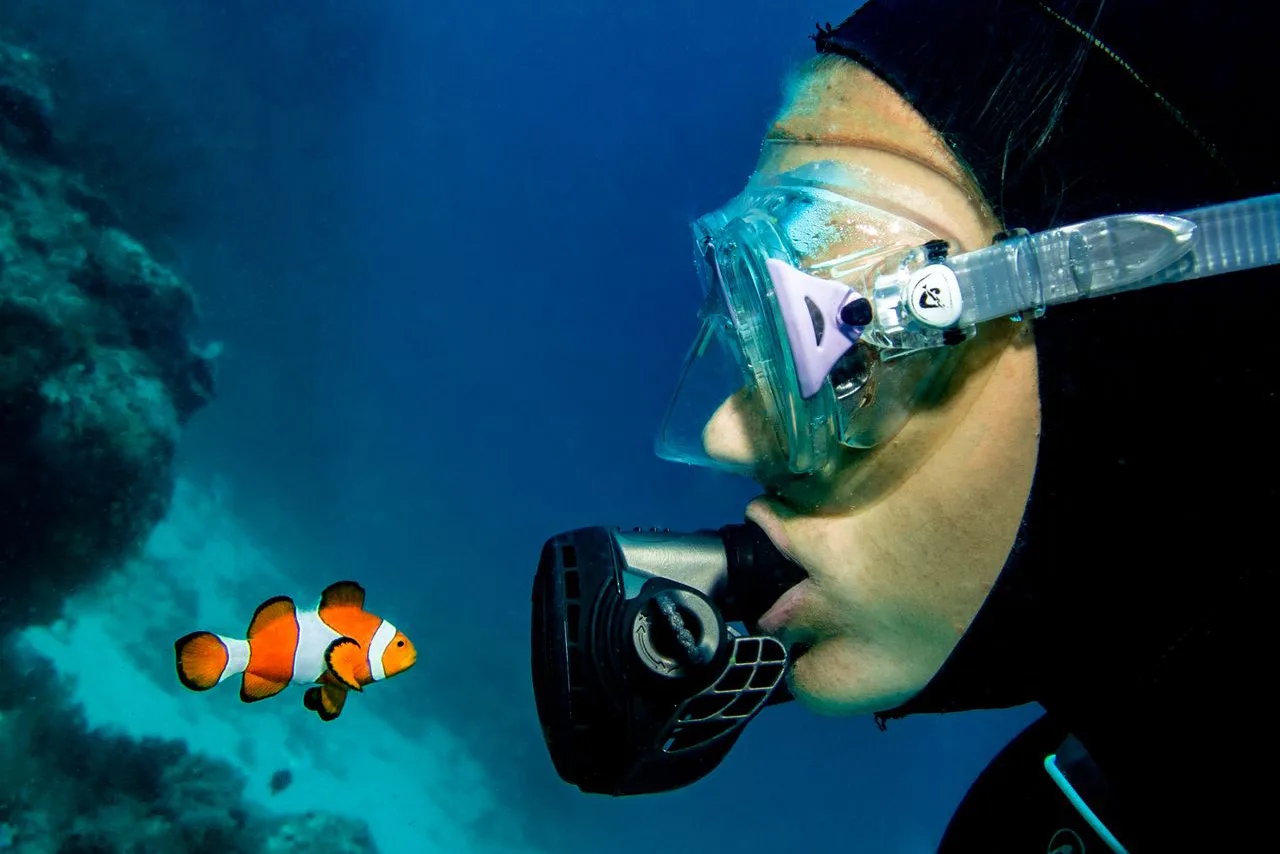 scuba diver in the ocean facing a clown fish
