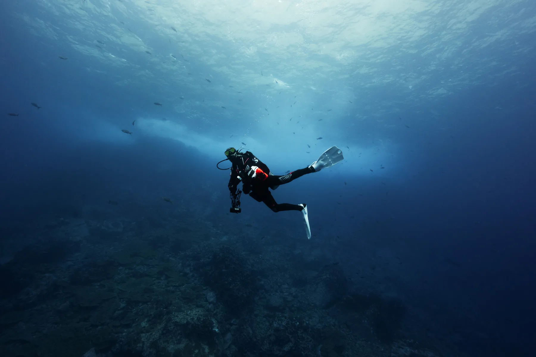 Caro Santamaria scuba diving in Malpelo