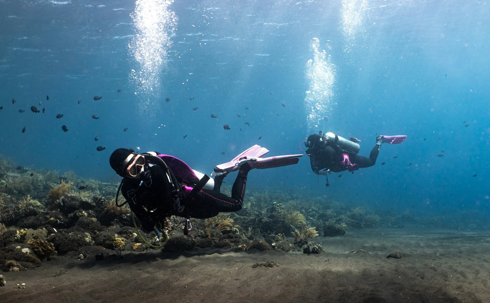 scuba divers cruising through a coral reef