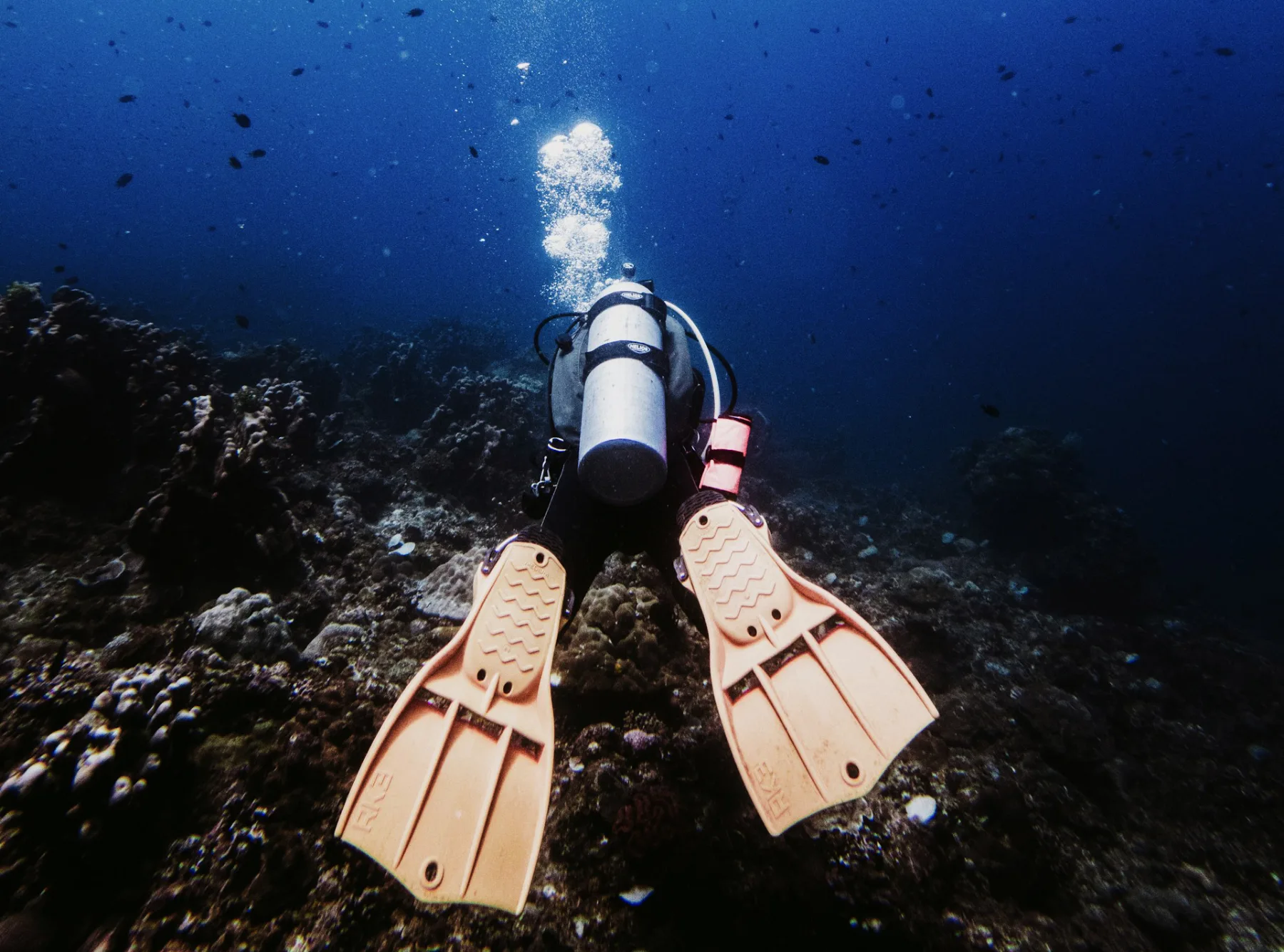 scuba diver from the back wearing orange Apeks RK3 fins