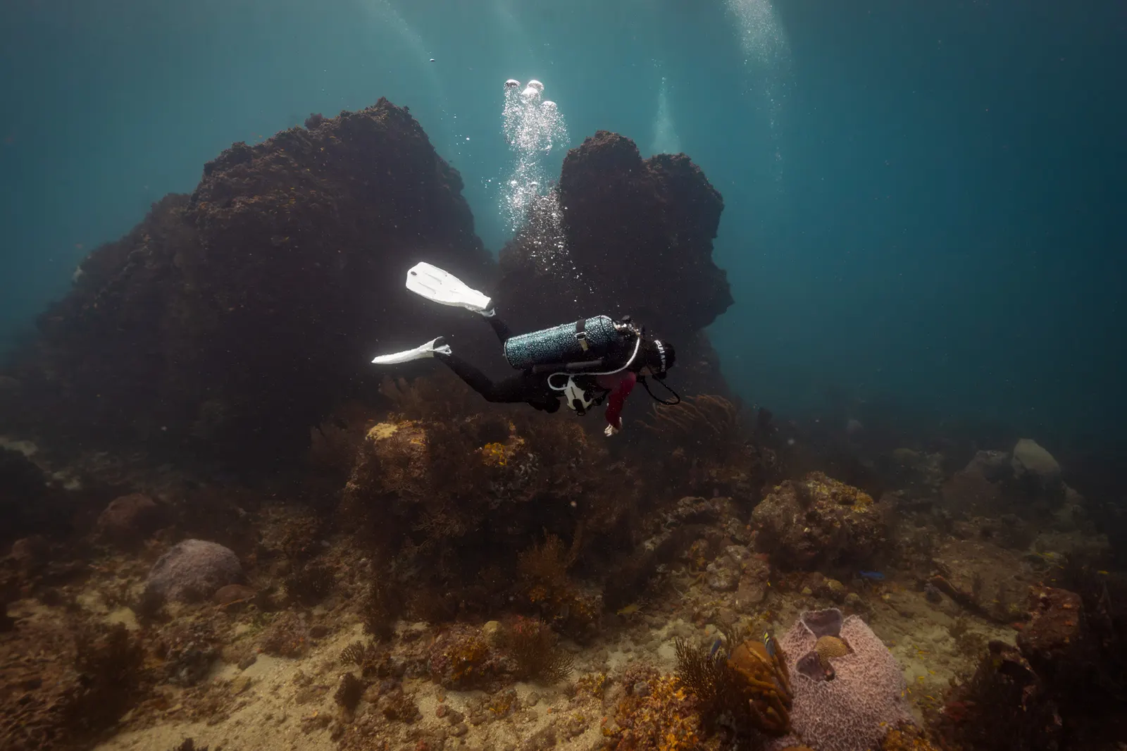 Twin reef pinnacles rising from the sea floor in Tayrona National Park, with a diver in scale beside them.