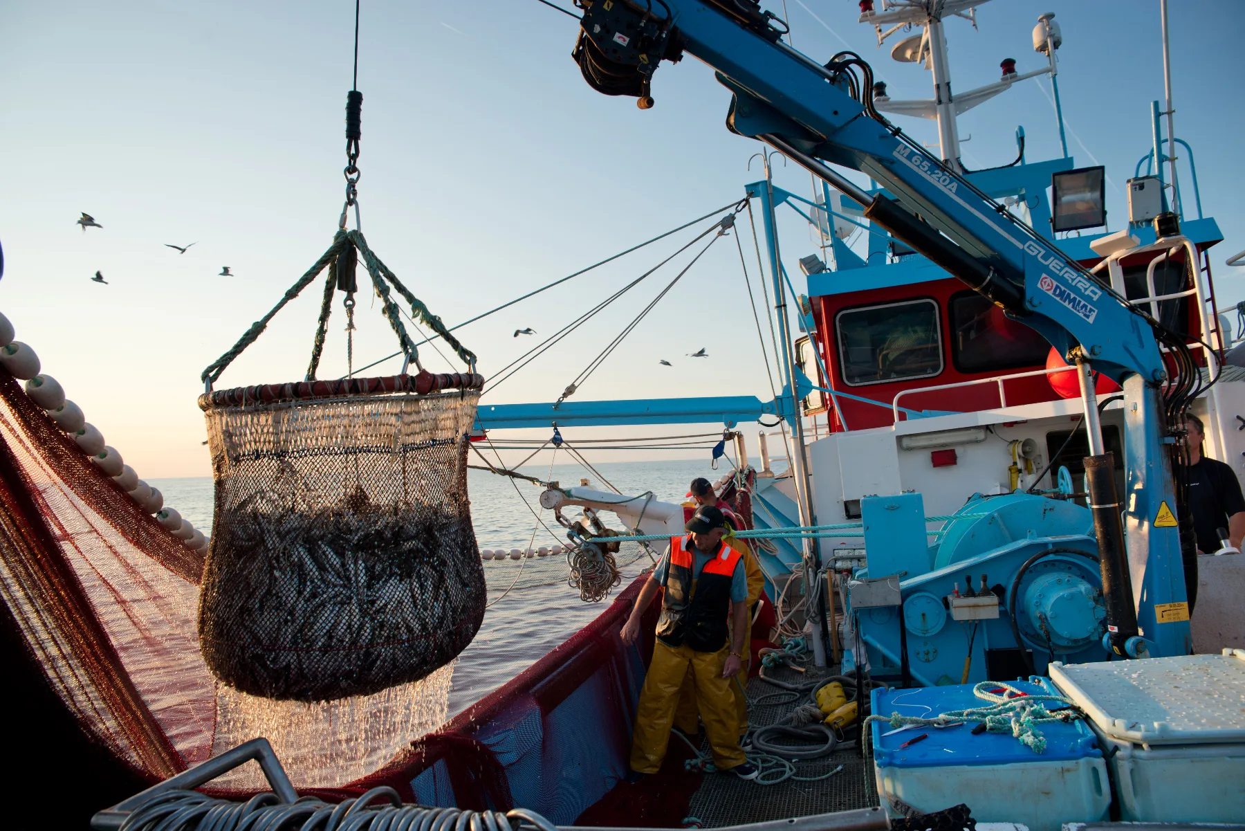 Barco de pesca industrial provocando captura incidental