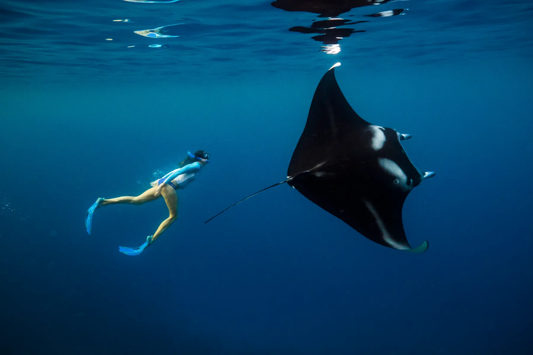 Mujer haciendo snorkel con una mantarraya