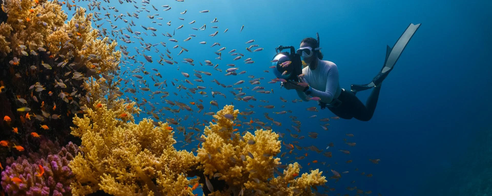 World Oceans Day 2026: The Year the Map Changed
