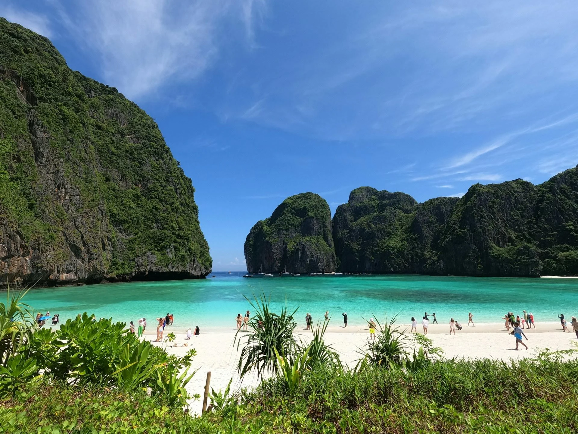 Maya Bay, Tailandia: la icónica bahía de karst calcáreo con su agua turquesa y playa de arena blanca, ahora en recuperación tras ser cerrada al turismo en 2018. En un solo conteo en julio de 2025 se registraron 158 tiburones de punta negra.