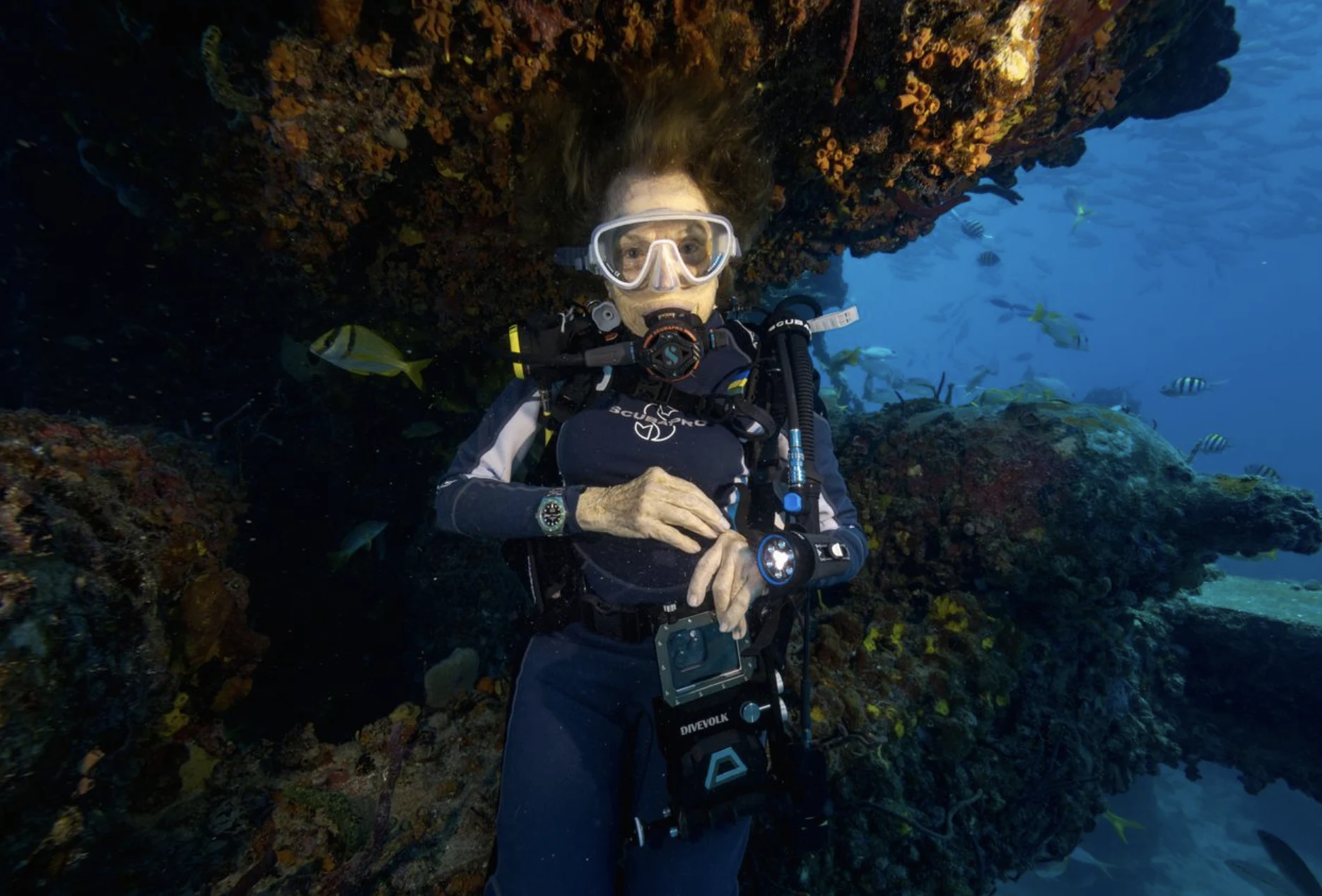 Sylvia Earle bajo el agua en un arrecife de coral: la oceanógrafa y fundadora de Mission Blue que ha pasado más de cinco décadas defendiendo la protección de los océanos del mundo y cuya red de Lugares de Esperanza ha designado más de 160 áreas marinas críticas a nivel global.