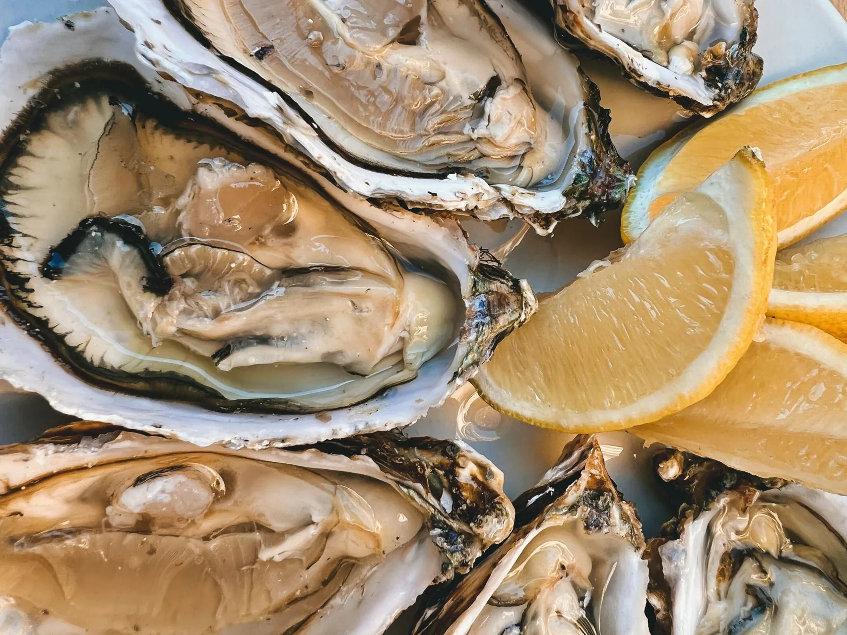 platter of oysters with lime and urchin