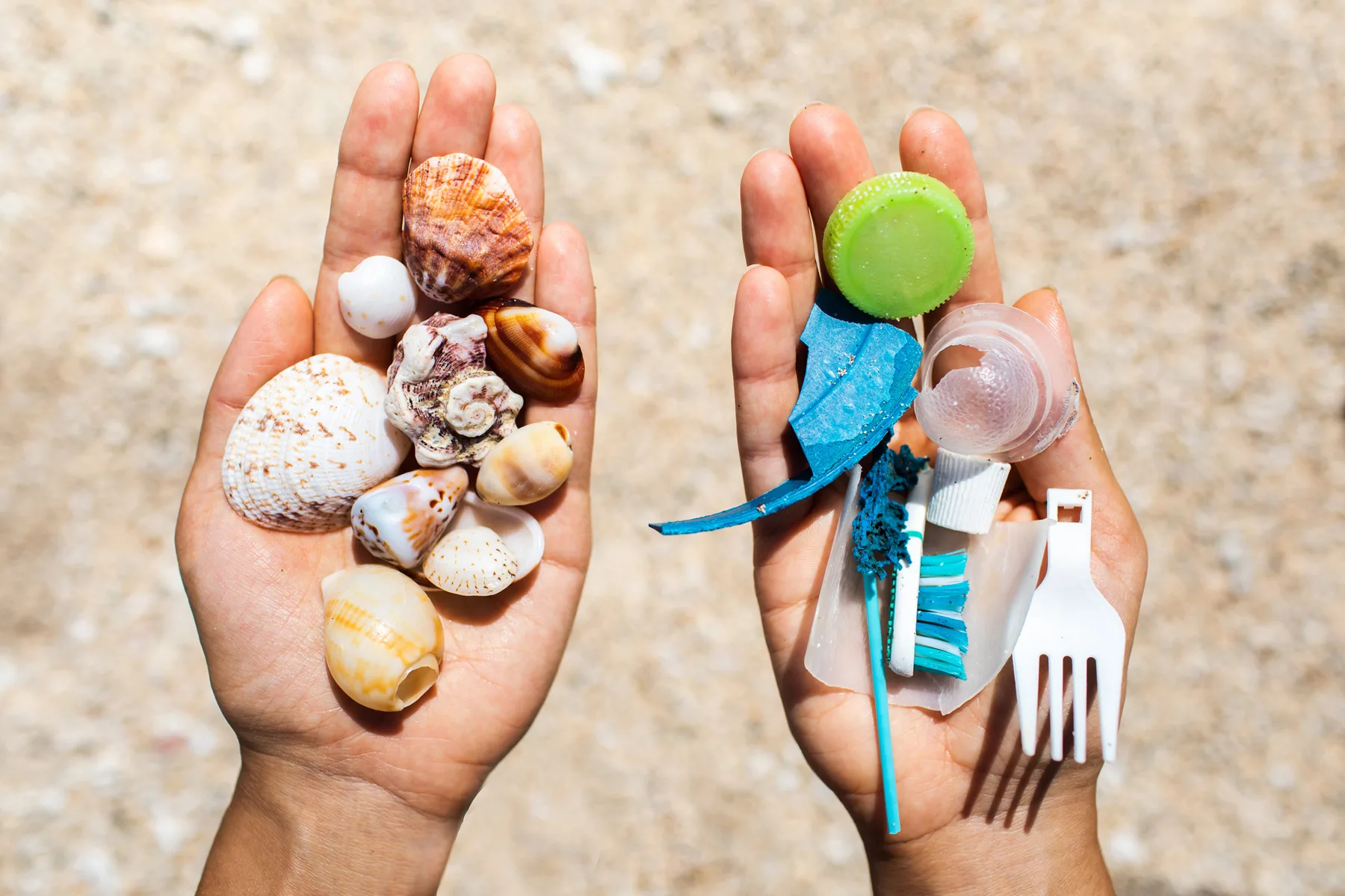 Celebrating World Reef Day 2026: The 84% Year