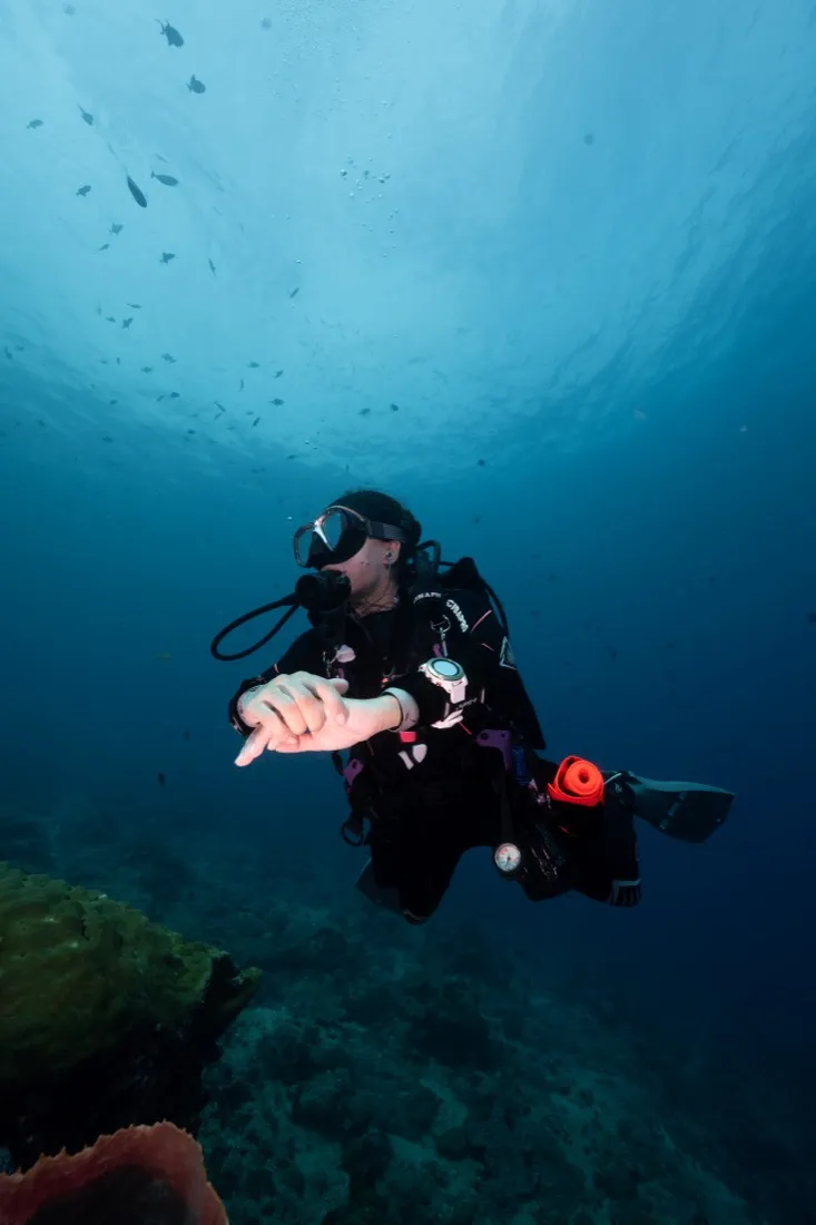 Caro Santamaria scuba diving with a hand outstretched