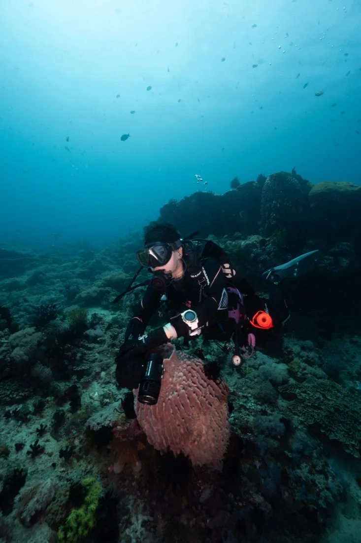Caro Santamaria diving beside a barrel sponge