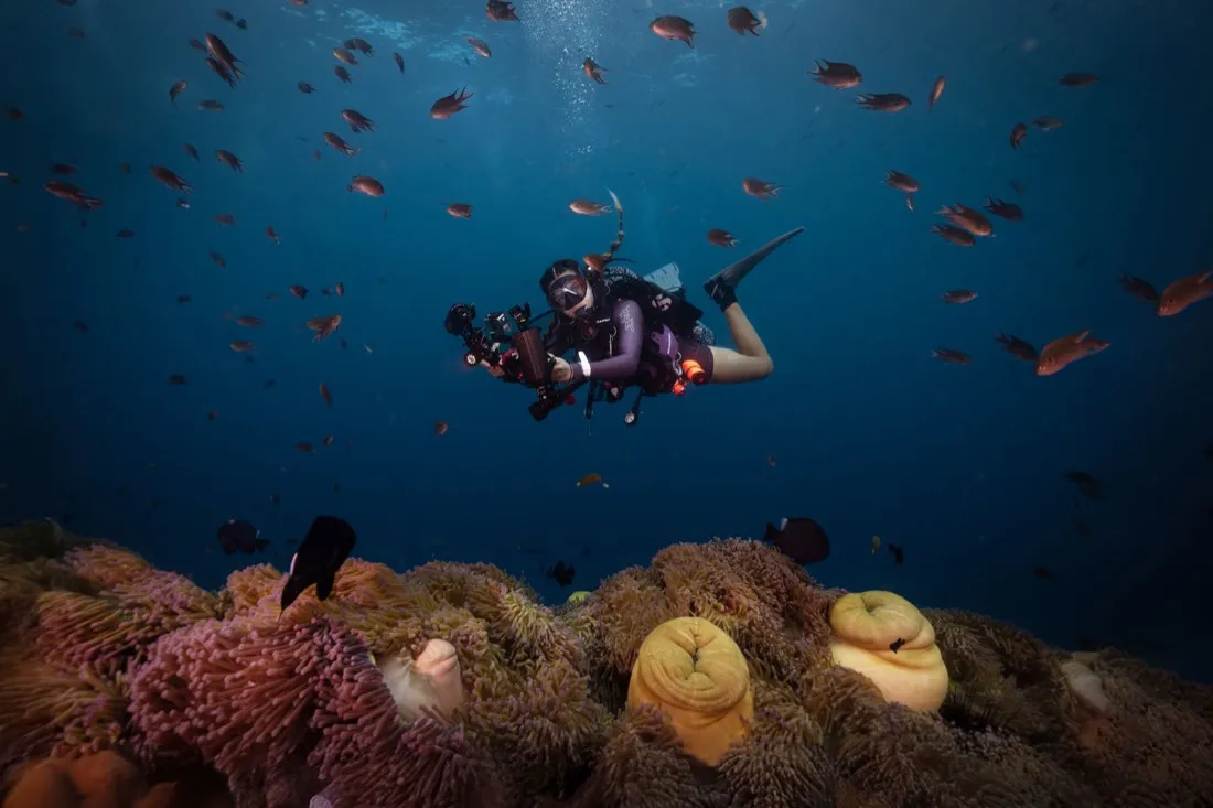 Caro Santamaria scuba diving a coral reef