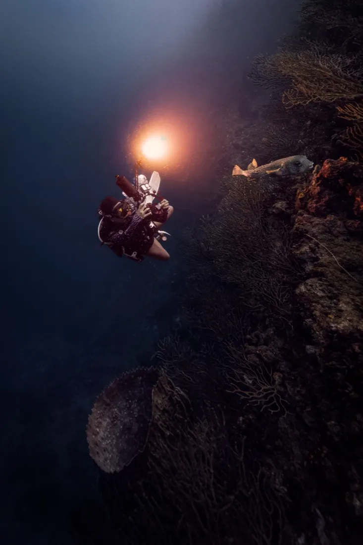Caro Santamaria diving a reef wall with a dive light