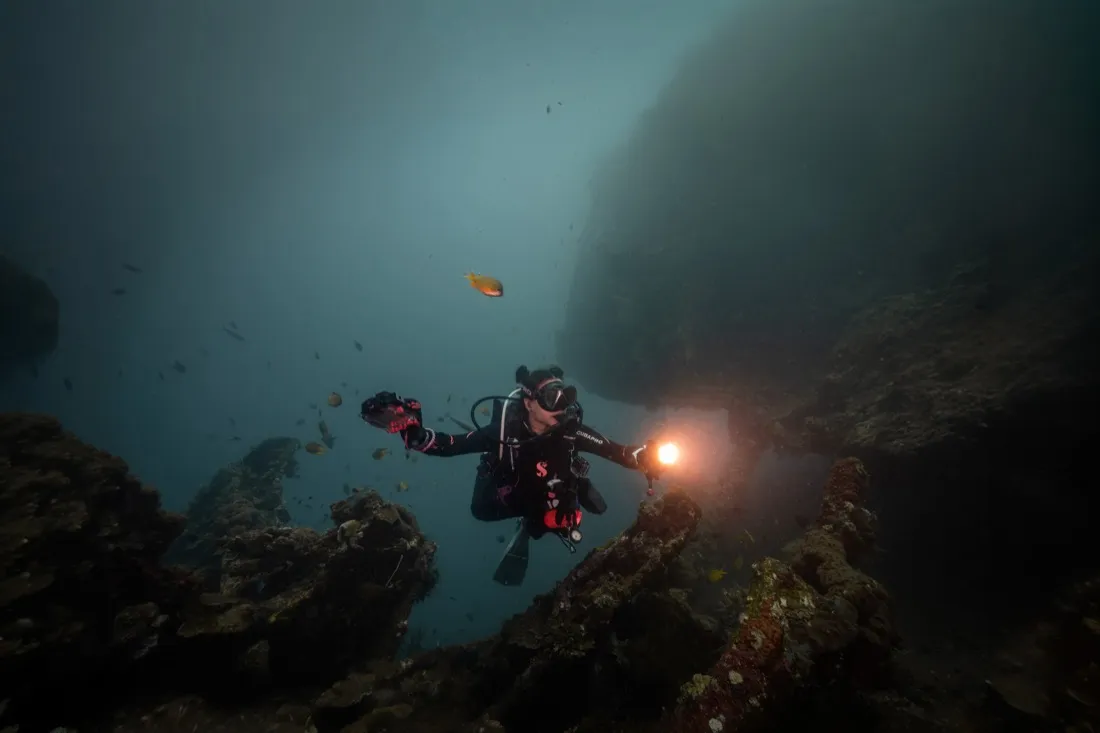 Caro Santamaria diving over a coral reef