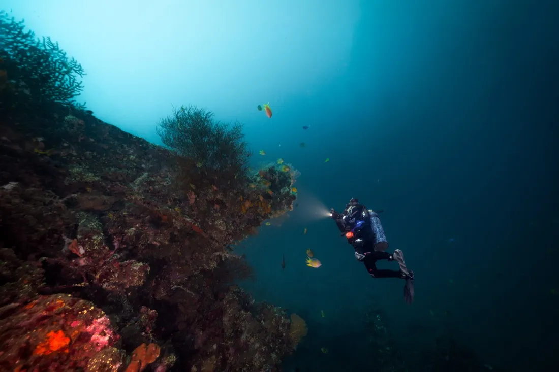 Caro Santamaria diving in open blue water
