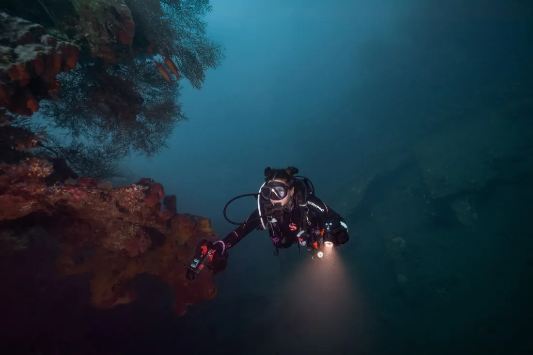 Caro Santamaria diving a reef with a dive light