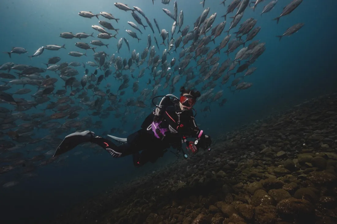 Caro Santamaria diving beside a school of fish